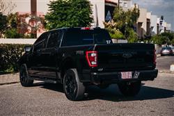 فۆرد F-150